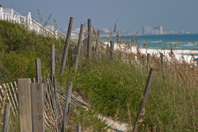 Beach Fence.jpg