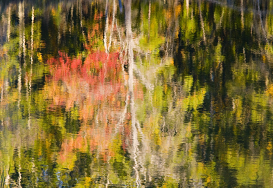 Belden Autumn.jpg